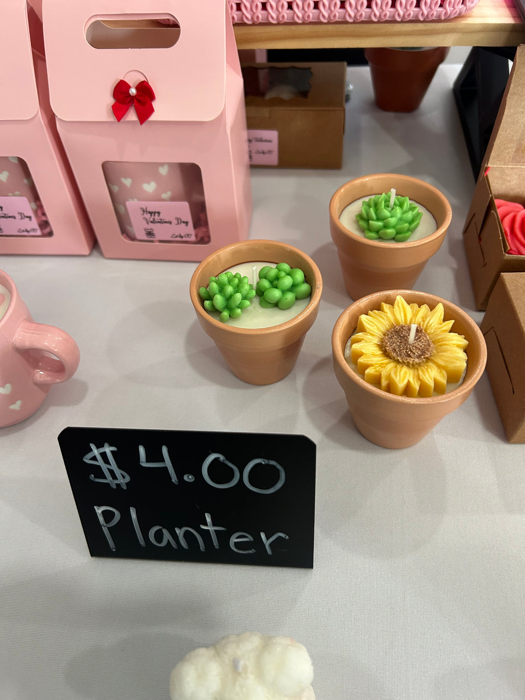 Succulent candle-Succulents & Floral in Terracotta pot