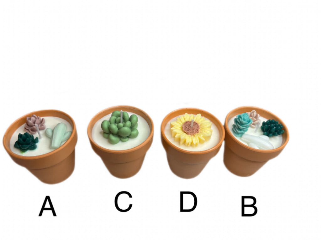 Succulent candle-Succulents & Floral in Terracotta pot