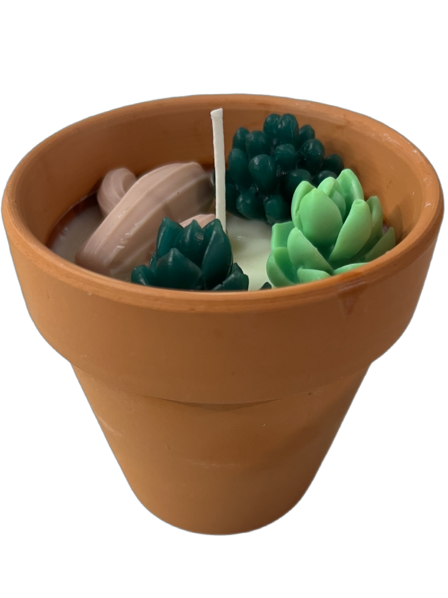 Succulent candle-Succulents & Floral in Terracotta pot