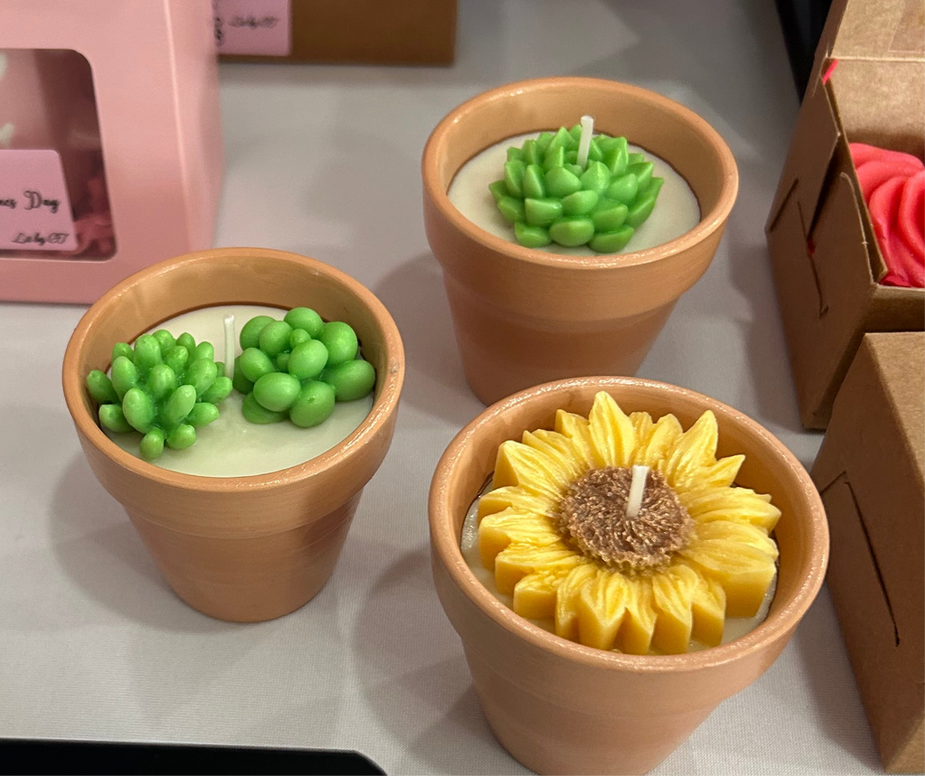 Succulent candle-Succulents & Floral in Terracotta pot