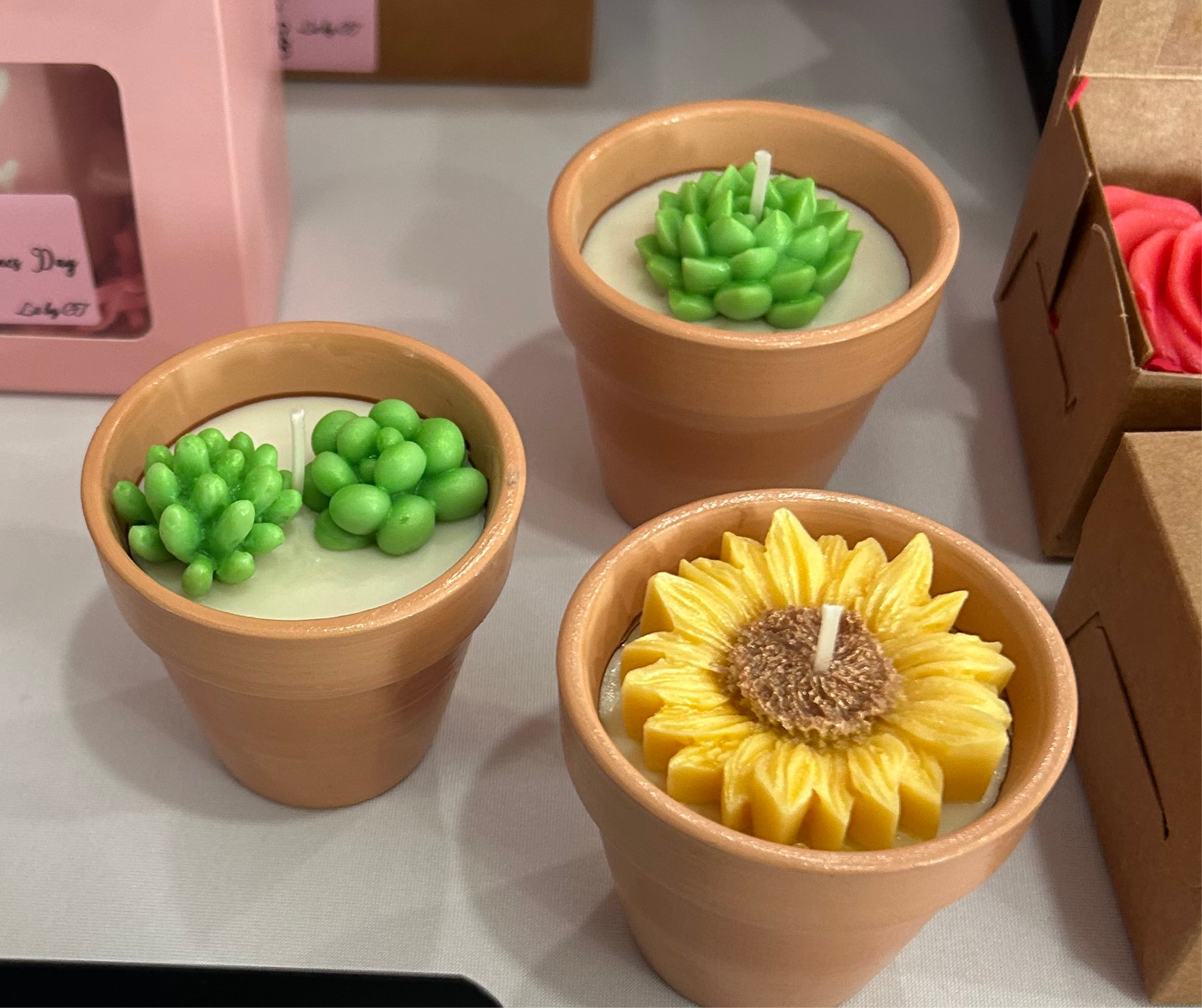 Succulent candle-Succulents & Floral in Terracotta pot