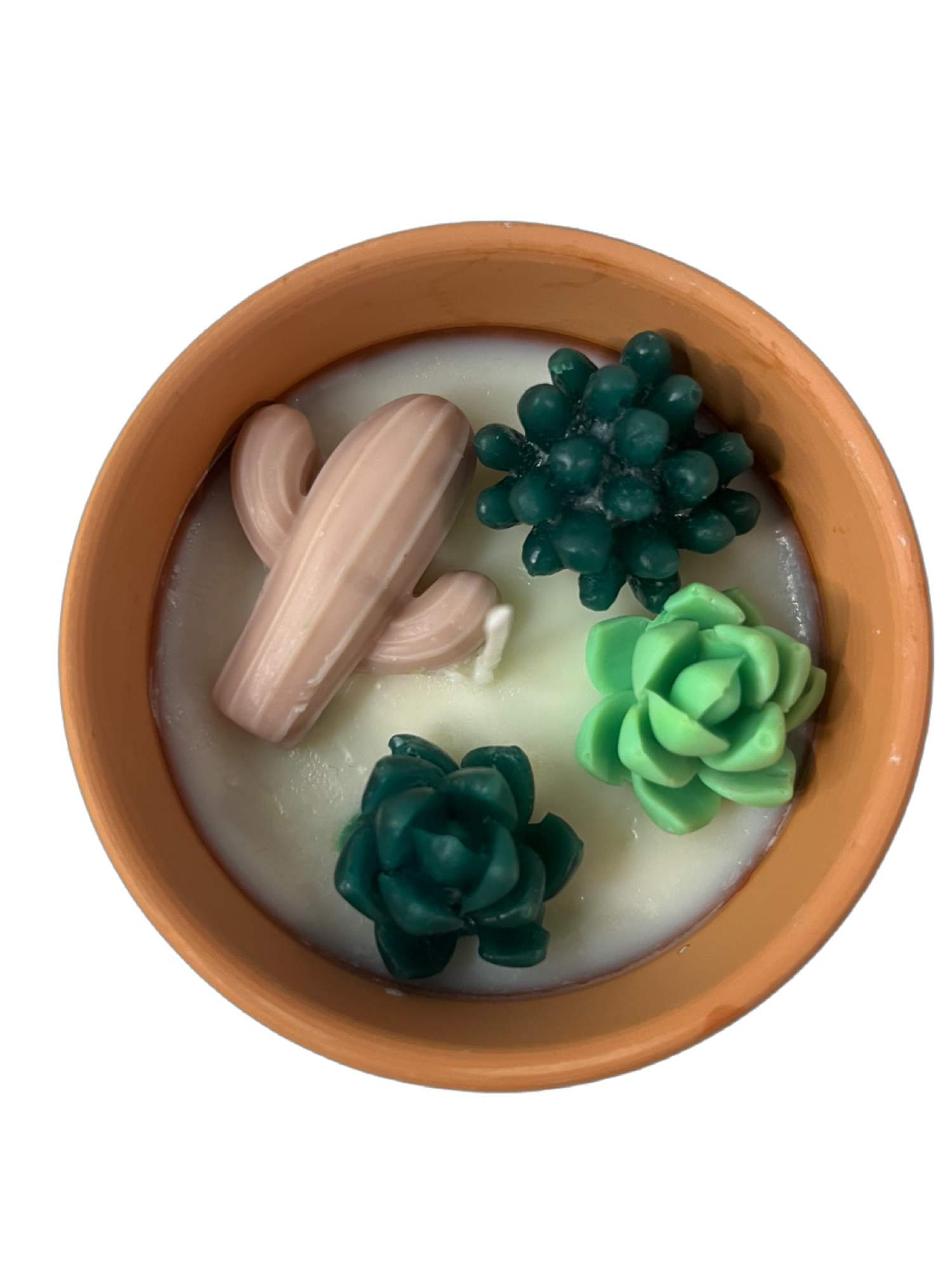 Succulent candle-Succulents & Floral in Terracotta pot
