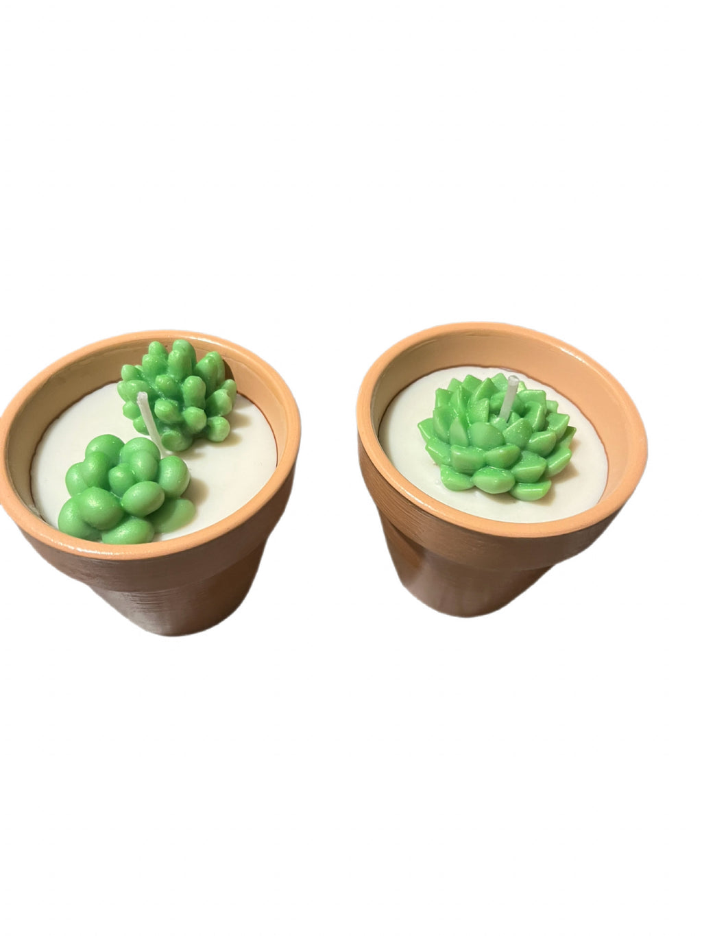 Succulent candle-Succulents & Floral in Terracotta pot