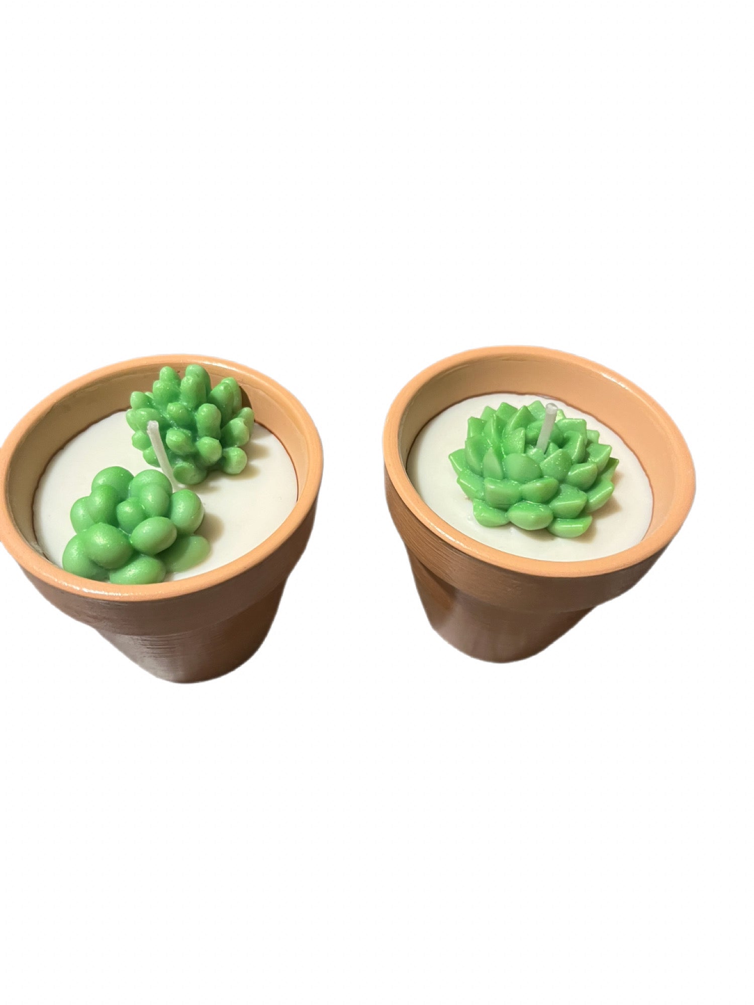 Succulent candle-Succulents & Floral in Terracotta pot