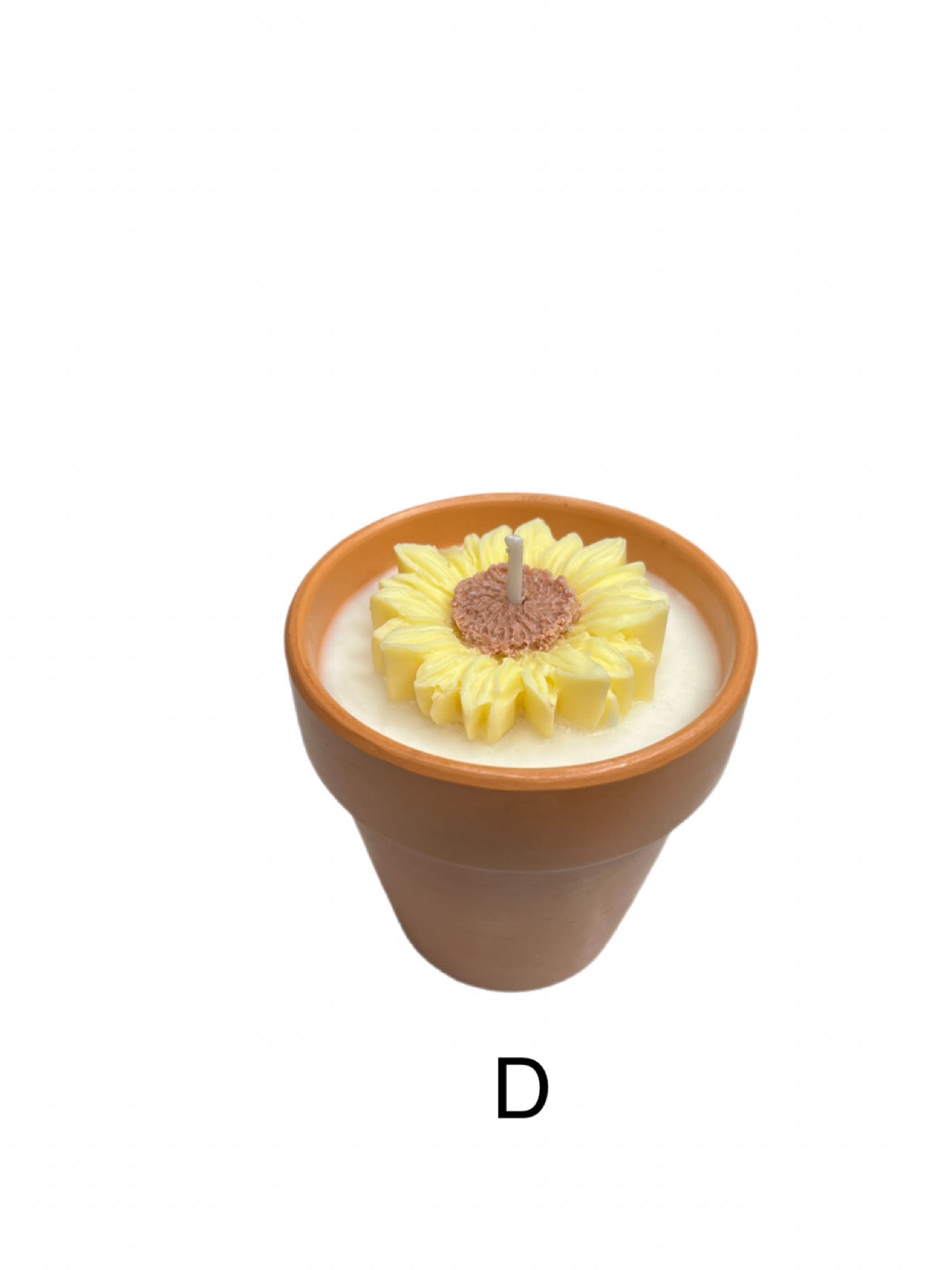 Succulent candle-Succulents & Floral in Terracotta pot