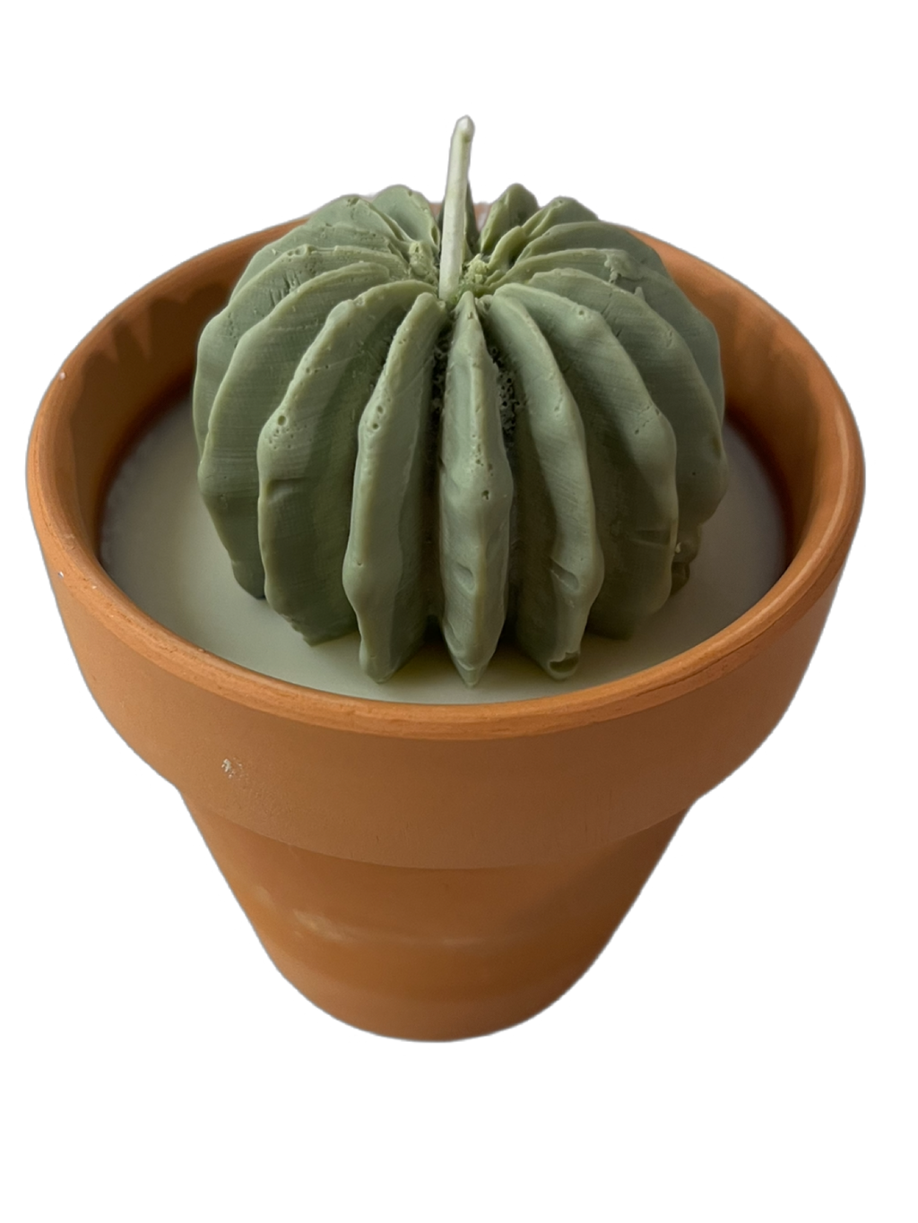 Succulent candle-Succulents & Floral in Terracotta pot