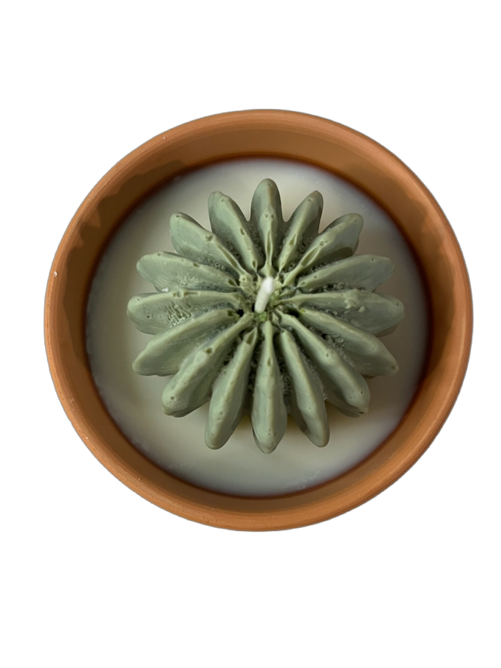 Succulent candle-Succulents & Floral in Terracotta pot