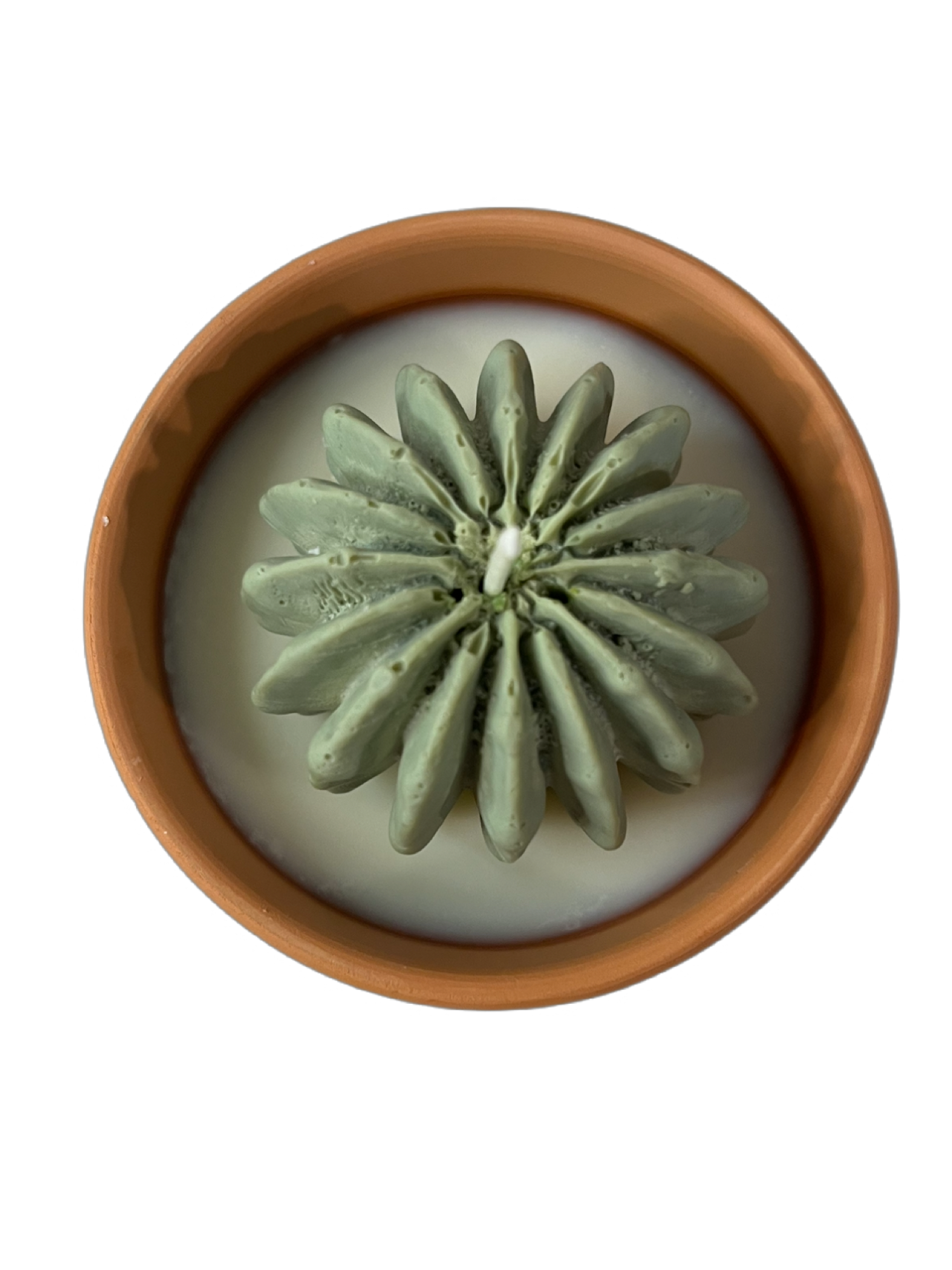 Succulent candle-Succulents & Floral in Terracotta pot