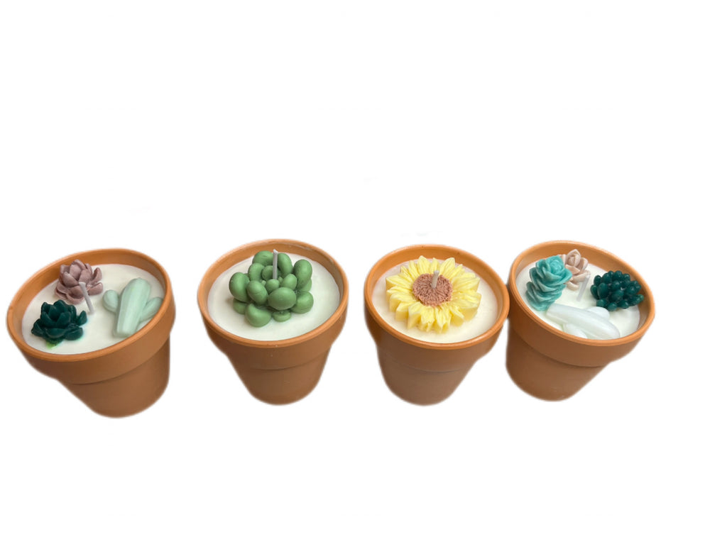 Succulent candle-Succulents & Floral in Terracotta pot