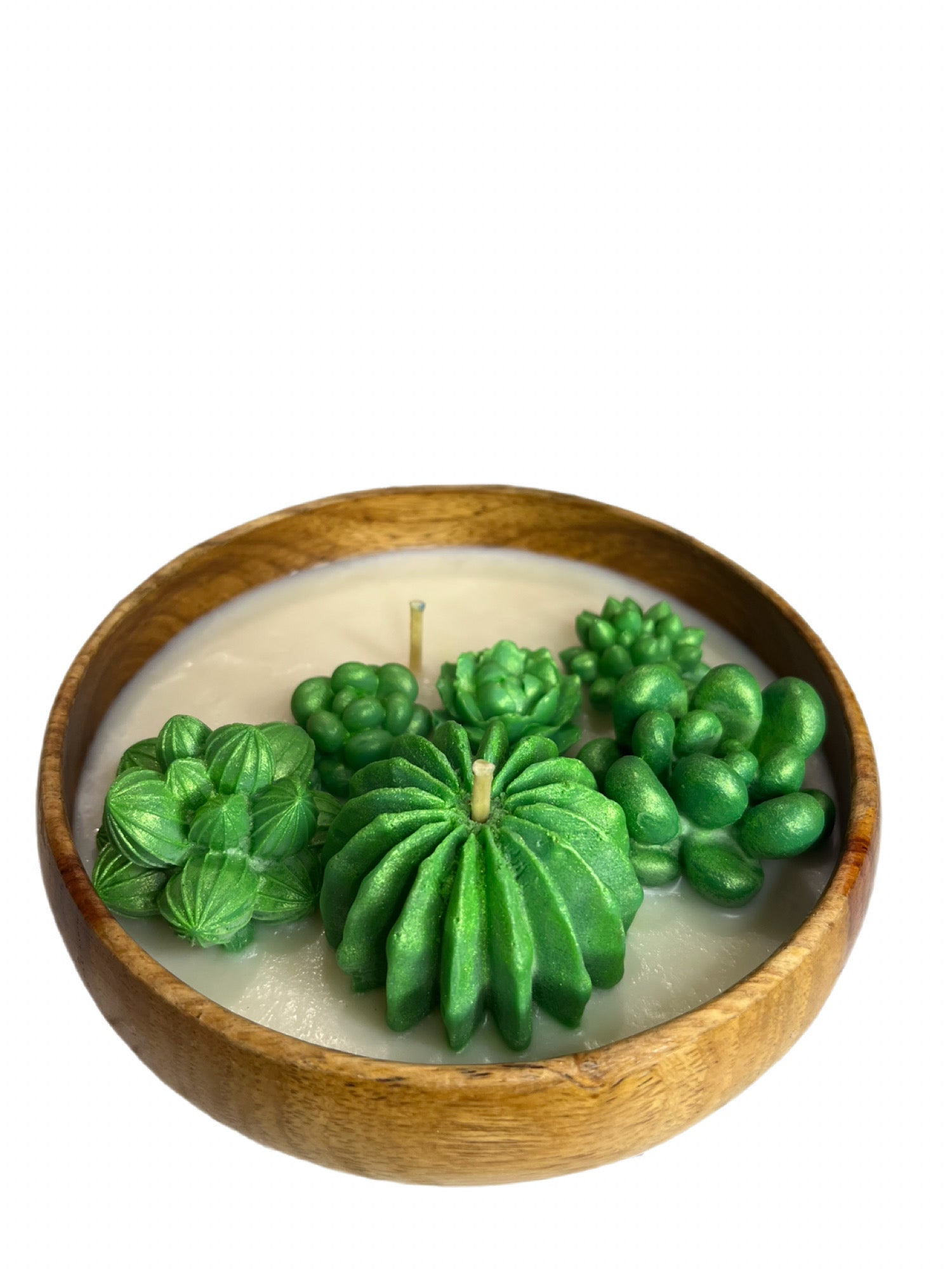 Succulent Candle in Bread bowl Eucalyptus scented