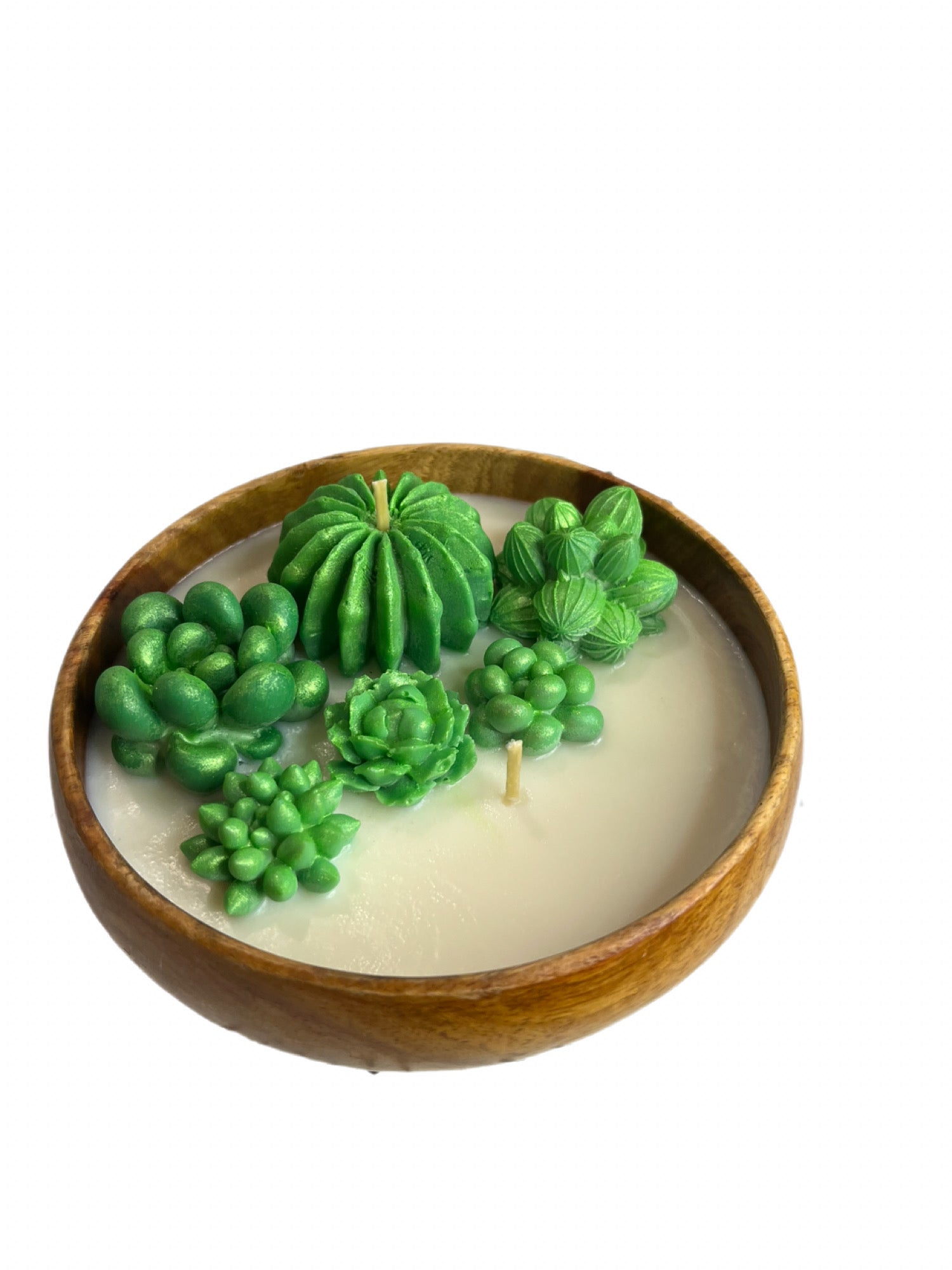 Succulent Candle in Bread bowl Eucalyptus scented