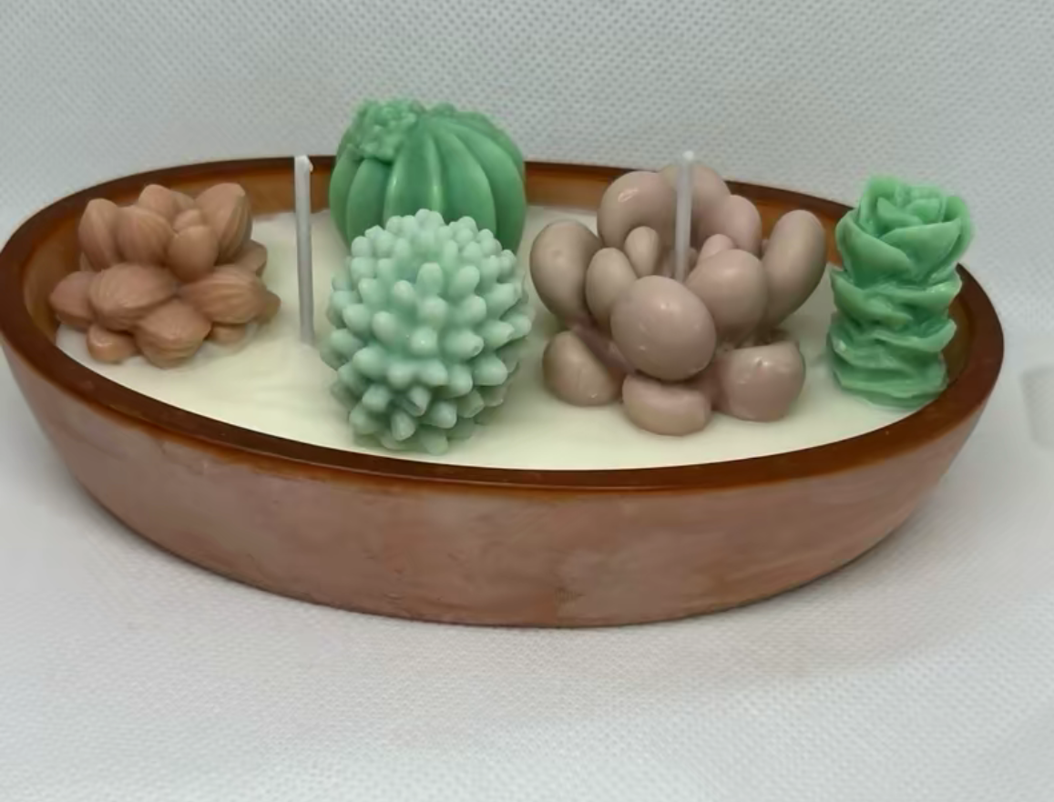 Succulent boat candle