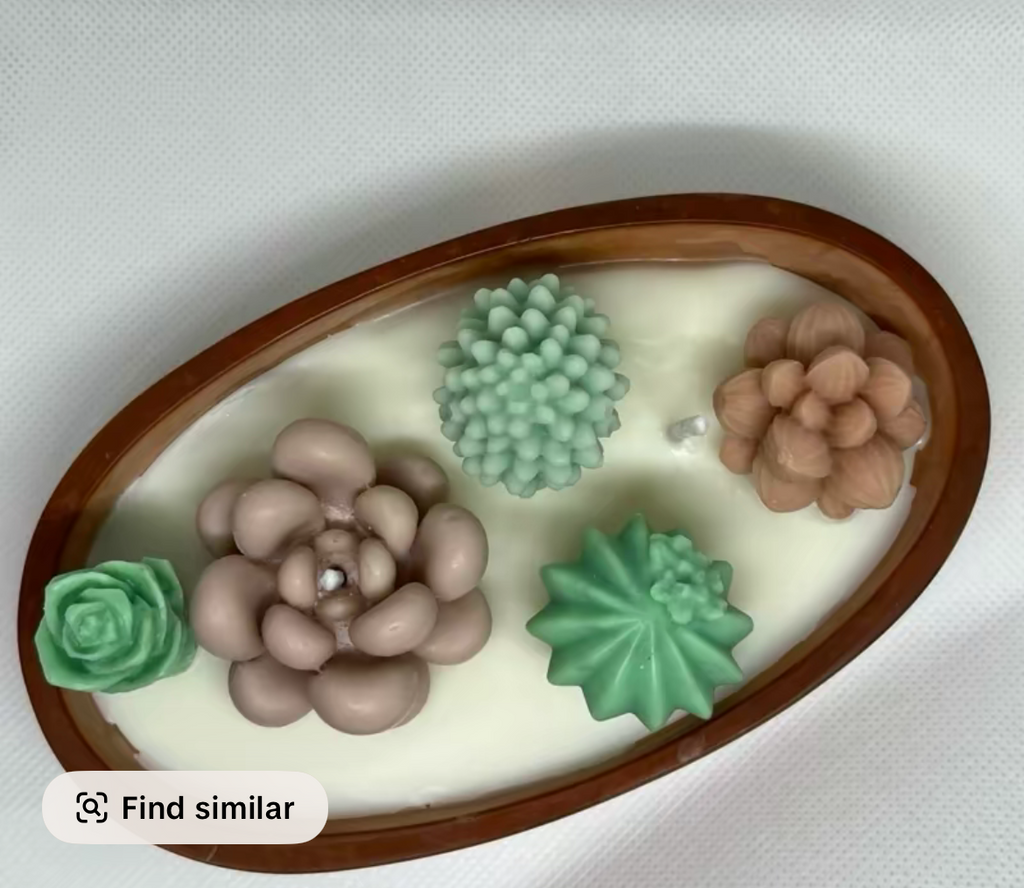 Succulent boat candle