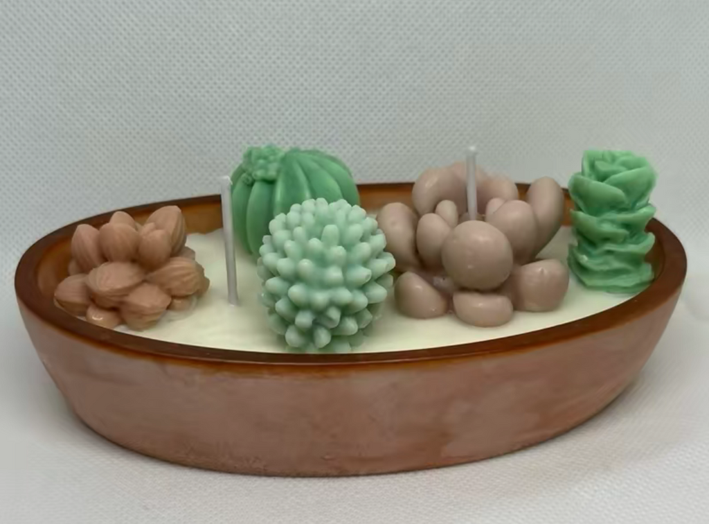 Succulent boat candle