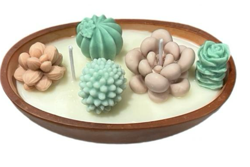 Succulent boat candle